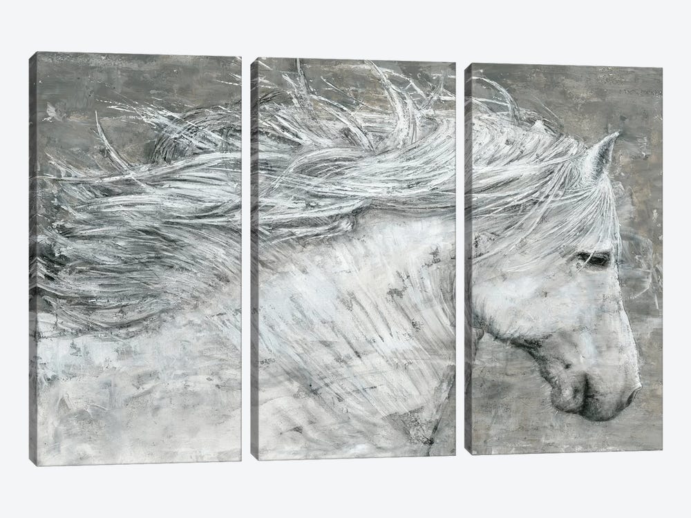 Wild Horse by Marie Elaine Cusson 3-piece Canvas Print