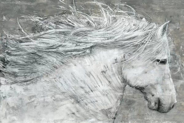Marie-Elaine Cusson: Wild Horse by Marie-Elaine Cusson