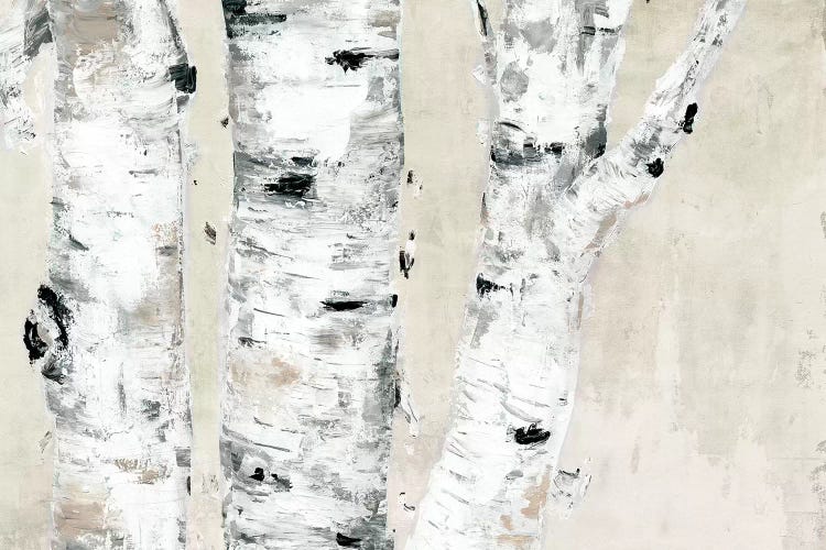 Birch Tree Close Up Neutral