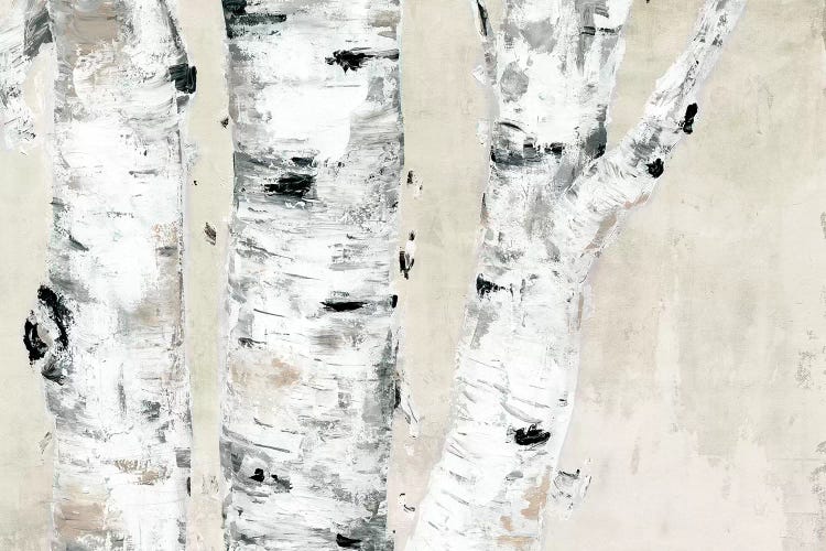 Birch Tree Close Up Neutral