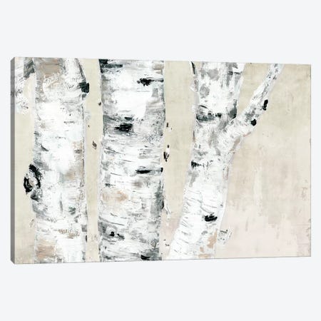 Birch Tree Close Up Neutral Canvas Print #MEC77} by Marie Elaine Cusson Canvas Art Print