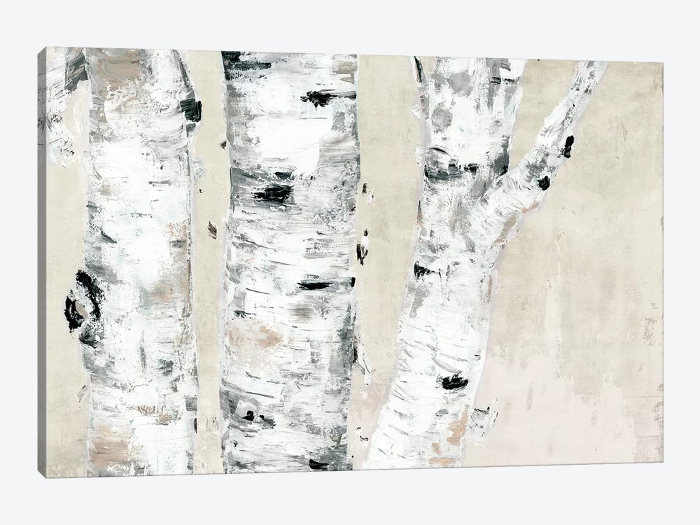 Birch Tree Close Up Neutral by Marie Elaine Cusson 1-piece Canvas Print