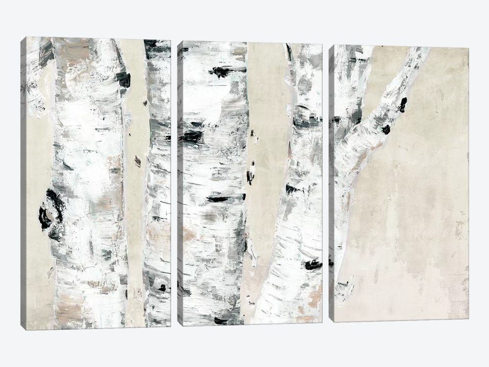 Birch Tree Close Up Neutral by Marie Elaine Cusson 3-piece Canvas Art Print