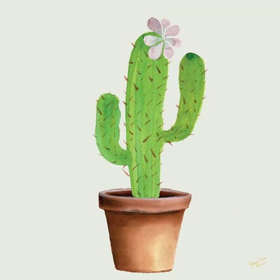 Succulent Symphony I by Marie-Elaine Cusson canvas print