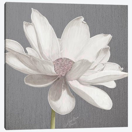 Vintage Lotus on Grey I Canvas Print #MEC90} by Marie Elaine Cusson Canvas Art
