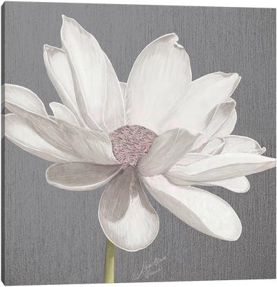 Vintage Lotus on Grey I Canvas Art Print - Modern Farmhouse Bedroom Art