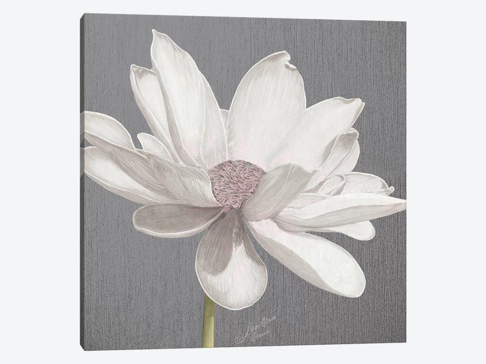 Vintage Lotus on Grey I by Marie Elaine Cusson 1-piece Canvas Wall Art