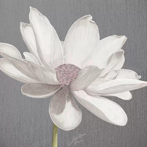 Shabby Chic Décor: Vintage Lotus on Grey I by Marie-Elaine Cusson