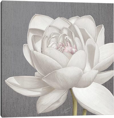 Vintage Lotus on Grey II Canvas Art Print - Modern Farmhouse Bedroom Art