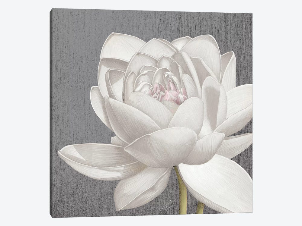 Vintage Lotus on Grey II by Marie Elaine Cusson 1-piece Canvas Print