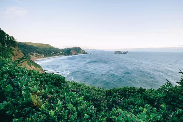 Oregon: Pacific Northwest Oregon V by Adam Mead
