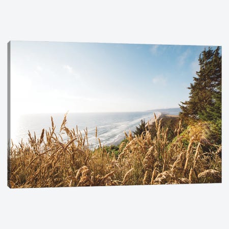 Pacific Northwest Oregon VIII Canvas Print #MED28} by Adam Mead Canvas Wall Art
