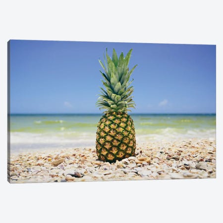 South Florida Pineapple II Canvas Print #MED38} by Adam Mead Canvas Print
