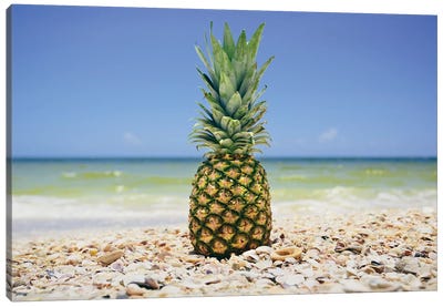South Florida Pineapple II Canvas Art Print - Adam Mead