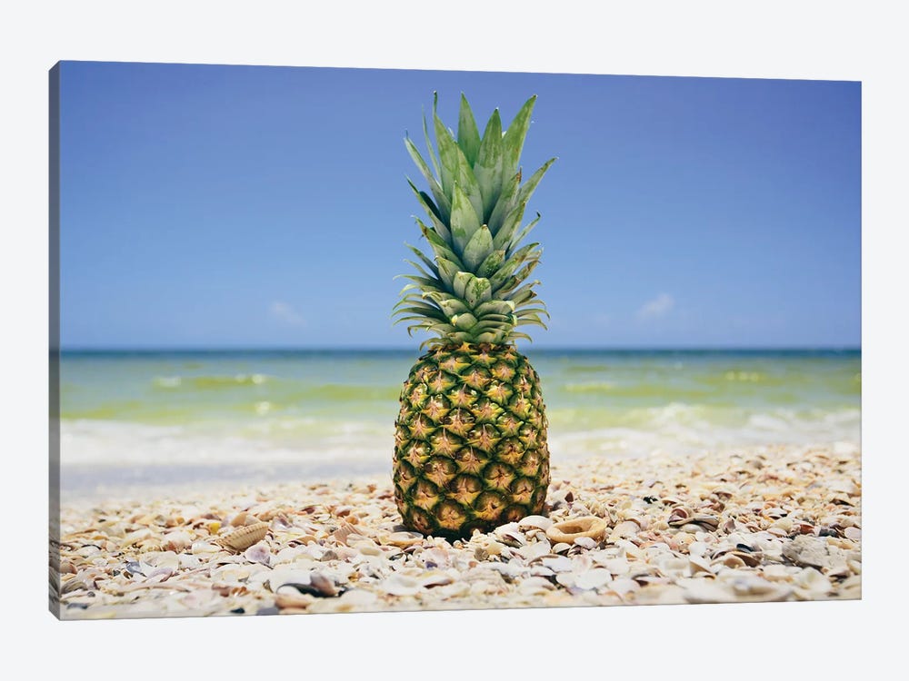 South Florida Pineapple II by Adam Mead 1-piece Art Print
