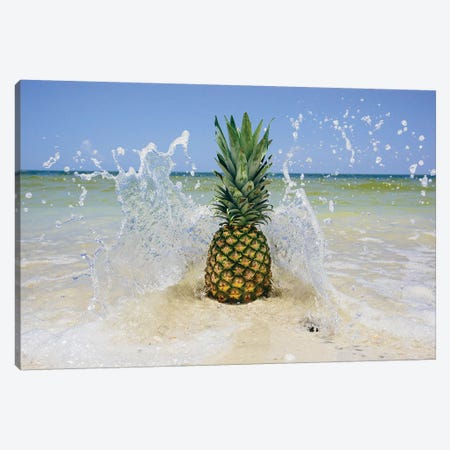 South Florida Pineapple III Canvas Print #MED39} by Adam Mead Canvas Print