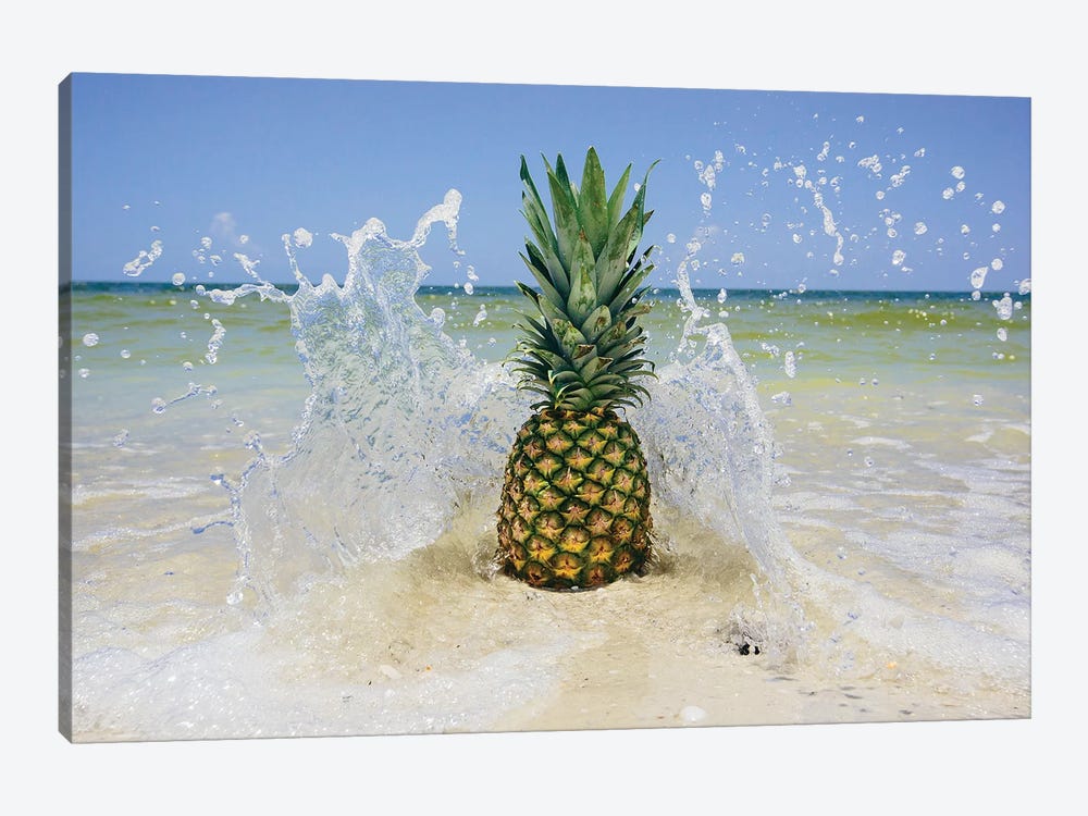 South Florida Pineapple III by Adam Mead 1-piece Canvas Artwork