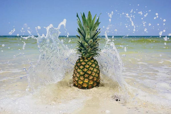 Still Life Photography: South Florida Pineapple III by Adam Mead