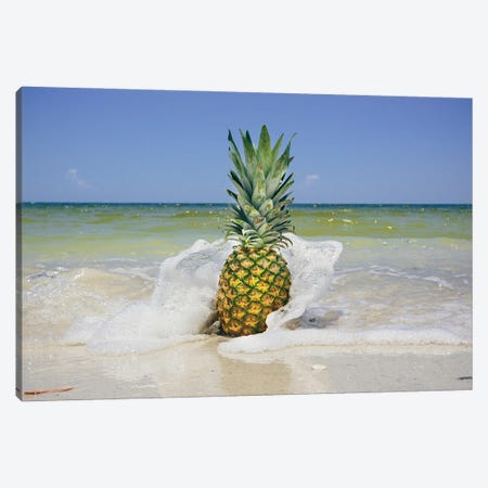 South Florida Pineapple IV Canvas Print #MED40} by Adam Mead Canvas Wall Art