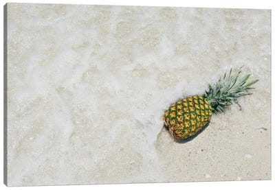 South Florida Pineapple V Canvas Art Print - Adam Mead
