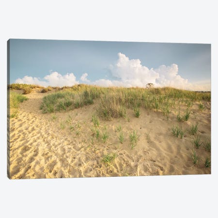 First Landing Dunes IV Canvas Print #MED4} by Adam Mead Canvas Artwork
