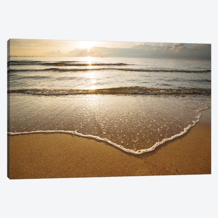 First Landing Sea I Canvas Print #MED6} by Adam Mead Canvas Artwork