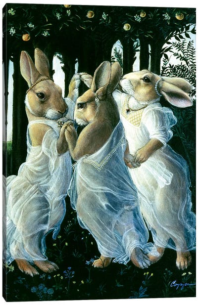 Bunny Graces Canvas Art Print - Animal Art