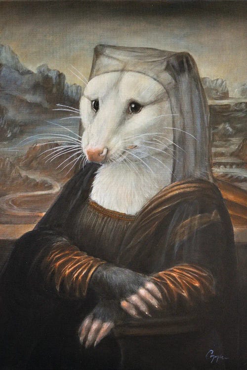 Mona Possum