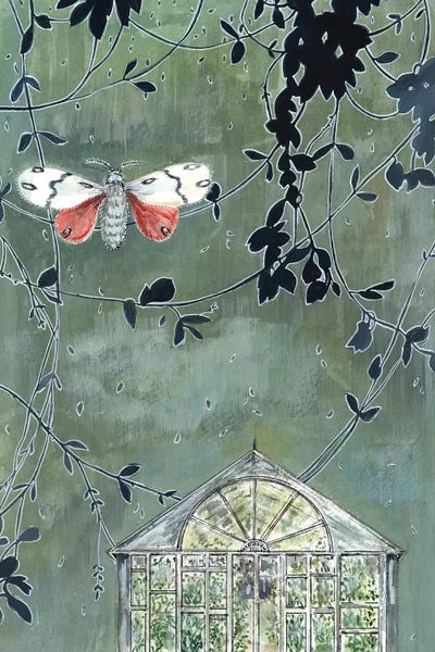 Greenhouse And Moth by Miri Eshet framed wall art