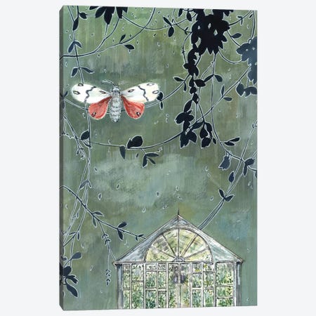 Greenhouse And Moth Canvas Print #MET16} by Miri Eshet Canvas Art