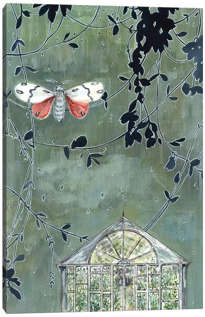 Greenhouse And Moth Canvas Art Print - Miri Eshet
