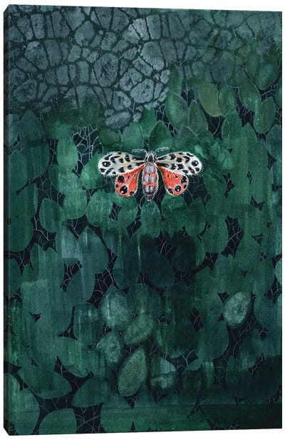 Moth On Leaves Canvas Art Print - Granny Chic