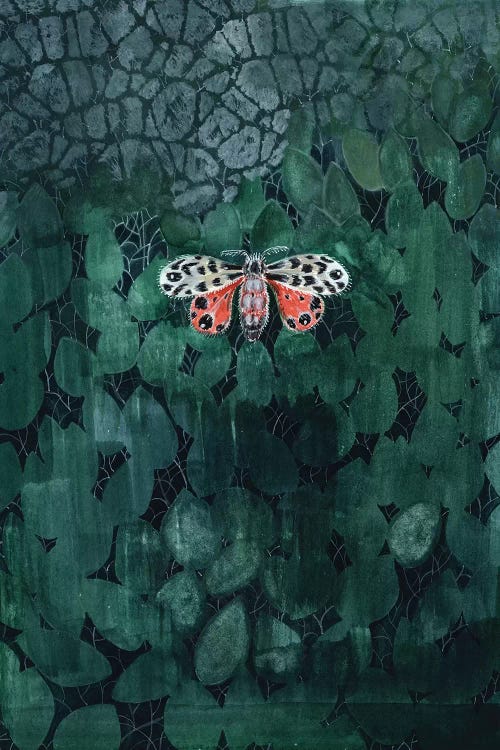 Moth On Leaves by Miri Eshet wall art