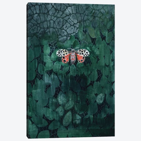 Moth On Leaves Canvas Print #MET23} by Miri Eshet Canvas Wall Art