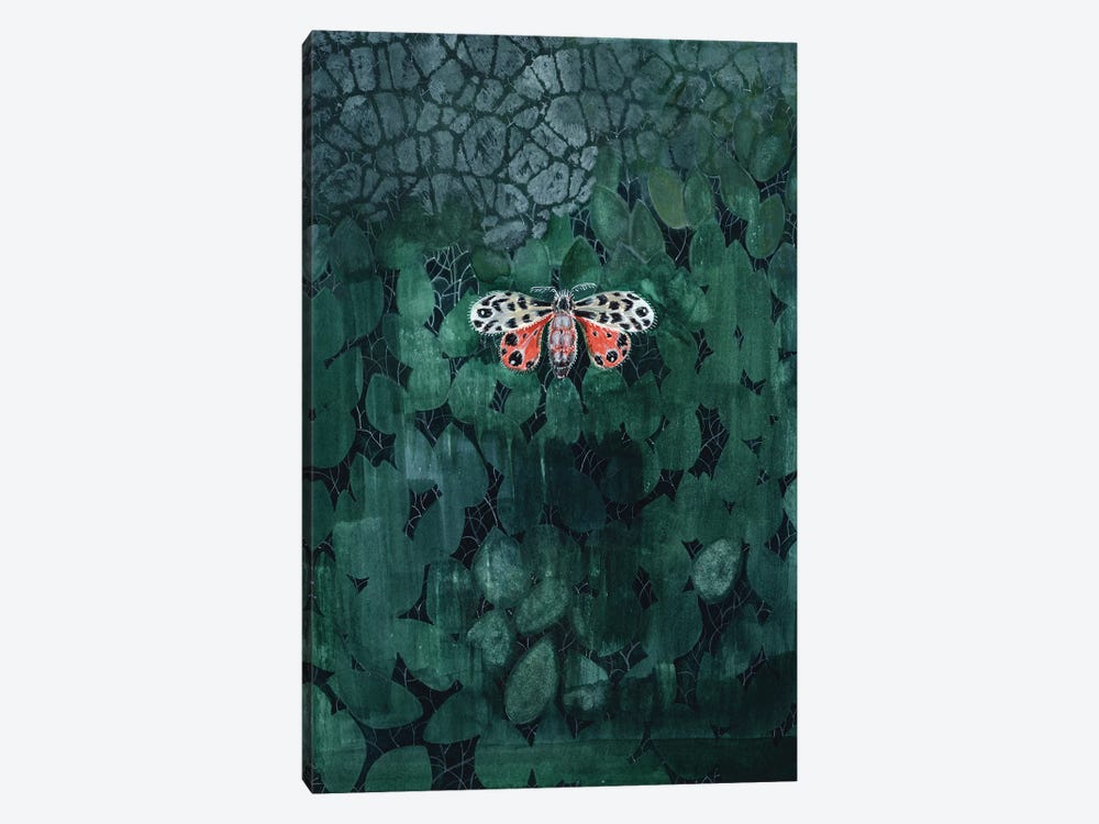 Moth On Leaves by Miri Eshet 1-piece Canvas Artwork