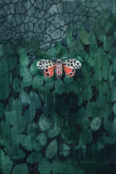 Moths: Moth On Leaves by Miri Eshet