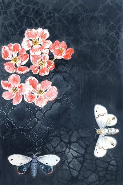 Moths: Night Moths by Miri Eshet