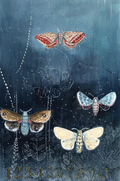 Night Moths On Blue