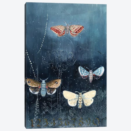 Night Moths On Blue Canvas Print #MET25} by Miri Eshet Canvas Art Print