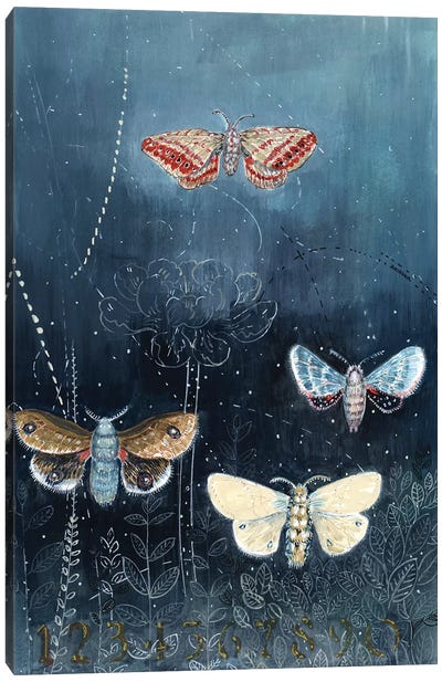 Night Moths On Blue Canvas Art Print - Miri Eshet