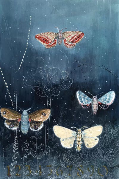 Miri Eshet: Night Moths On Blue by Miri Eshet