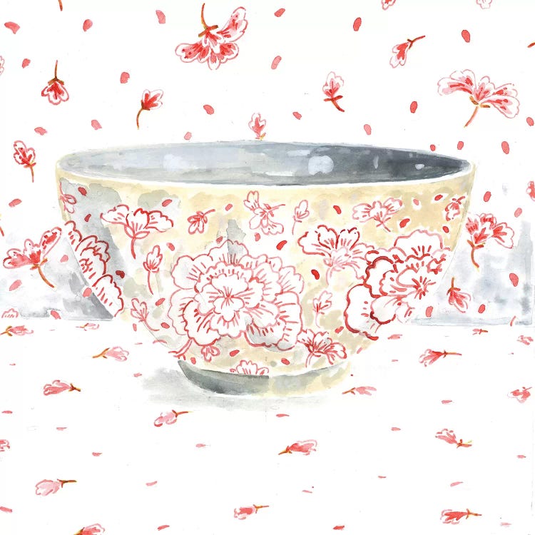 Pink Bowl by Miri Eshet canvas print