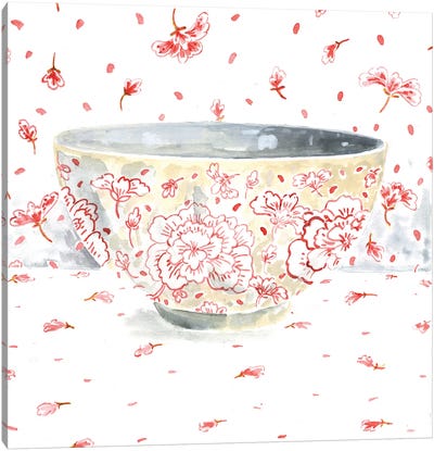 Pink Bowl Canvas Art Print - Miri Eshet