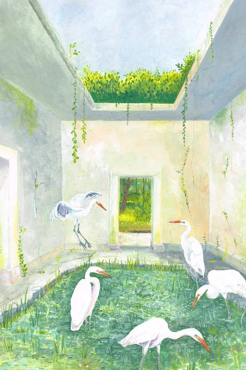 Great Egrets