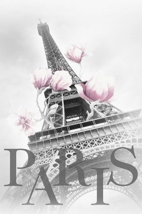 Paris Magnolia Eiffel Tower - Black And White - Pink