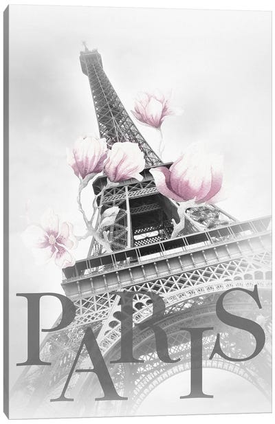 Paris Magnolia Eiffel Tower - Black And White - Pink Canvas Art Print - Melanie Viola