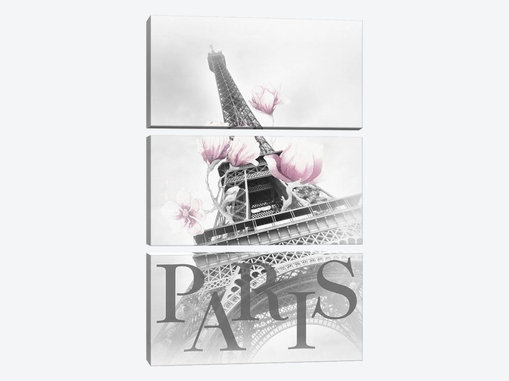 Paris Magnolia Eiffel Tower - Black And White - Pink by Melanie Viola 3-piece Canvas Print