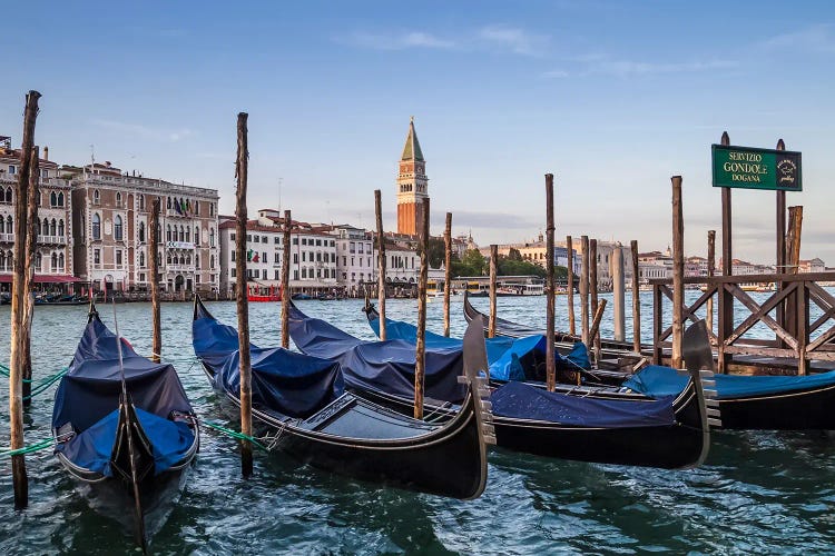 Venice Grand Canal And Gondolas