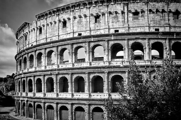The Colosseum: Rome Monochrome Colosseum by Melanie Viola