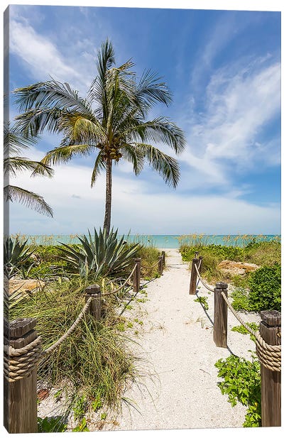 The Sandy Path To The Beach Canvas Art Print - Palm Tree Art